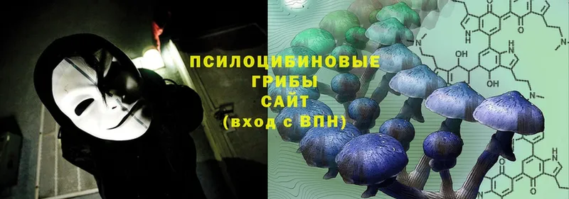 Псилоцибиновые грибы Psilocybine cubensis Ейск